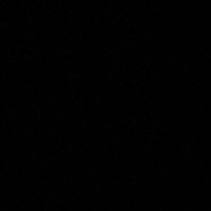 Meet your Posher, Bella